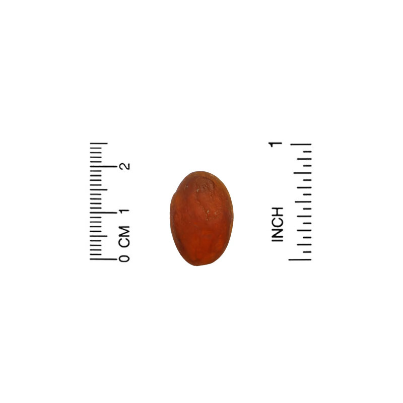 Solumeve, Мультивитаминные жевательные таблетки, без желатина, вкус винограда, 100 вегетарианских жевательных таблеток